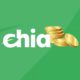 Что такое Chia Coin и как ее добывать?